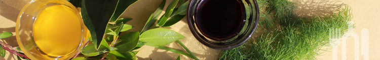 Vini e Liquori